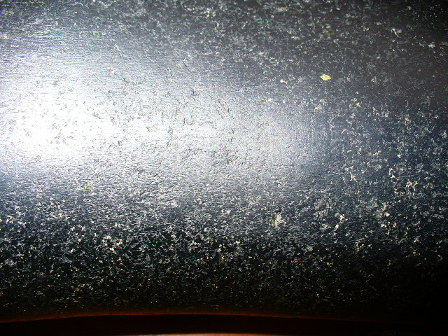 P1120229.JPG