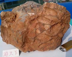 IMG_20131119_135138.jpg