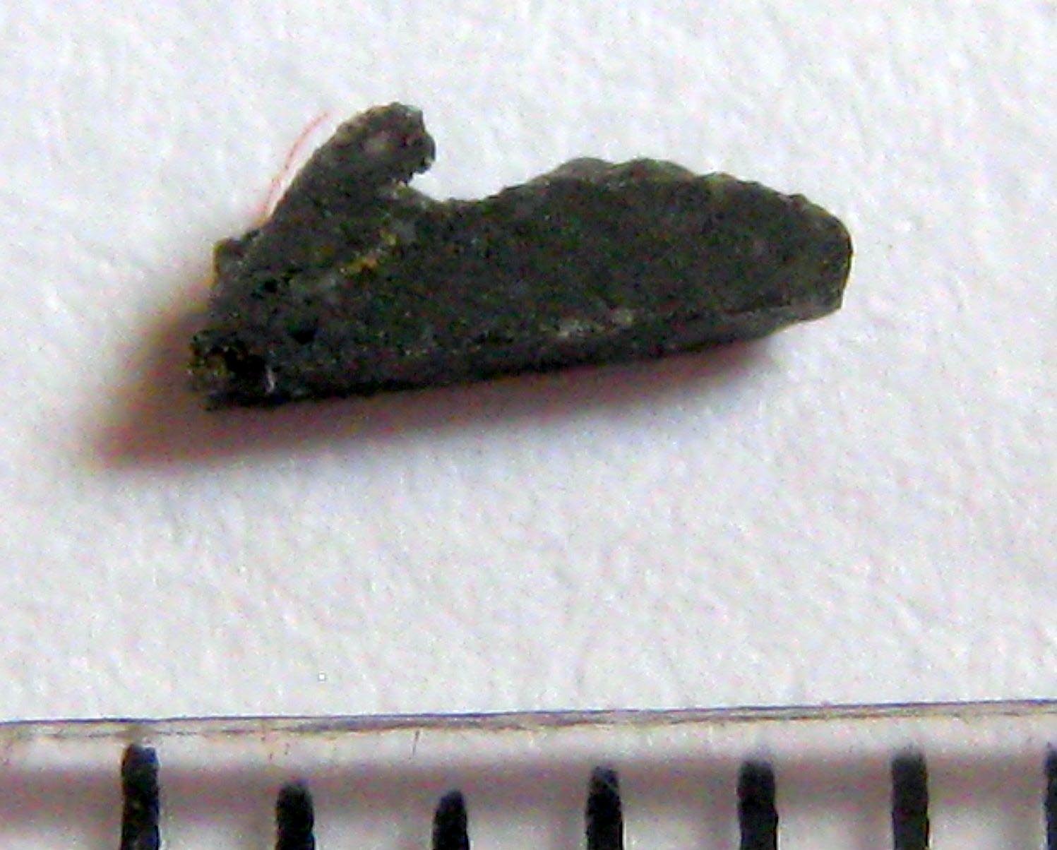 Dho1084-09-2.jpg