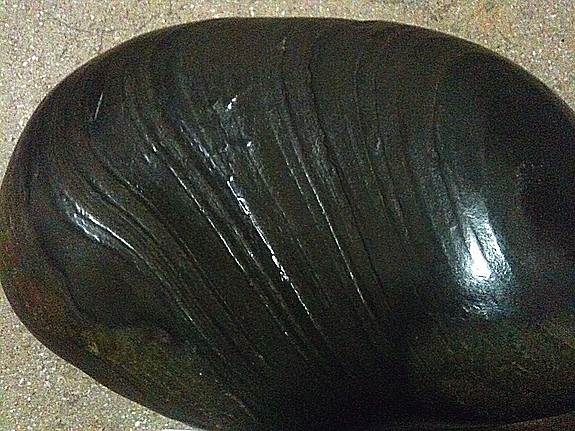 照片 031.jpg