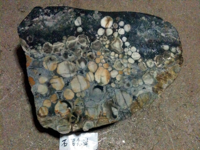 照片 001.jpg