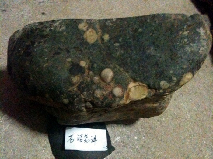 照片 014.jpg