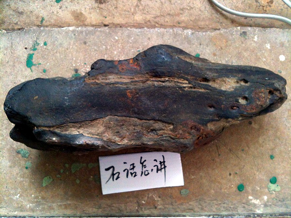 照片 035.jpg