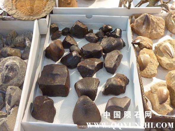 pic20.jpg