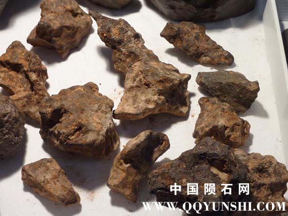 pic22.jpg