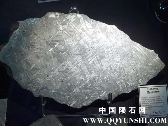 pic25.jpg
