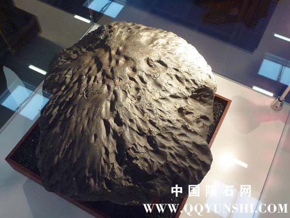 pic30.jpg