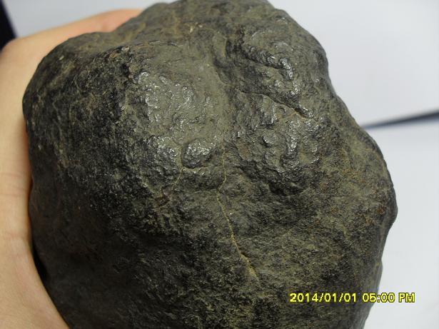SDC14529.JPG
