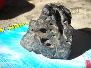 DSCN5740.jpg