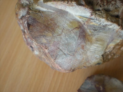 DSCN4991_缩小大小.JPG