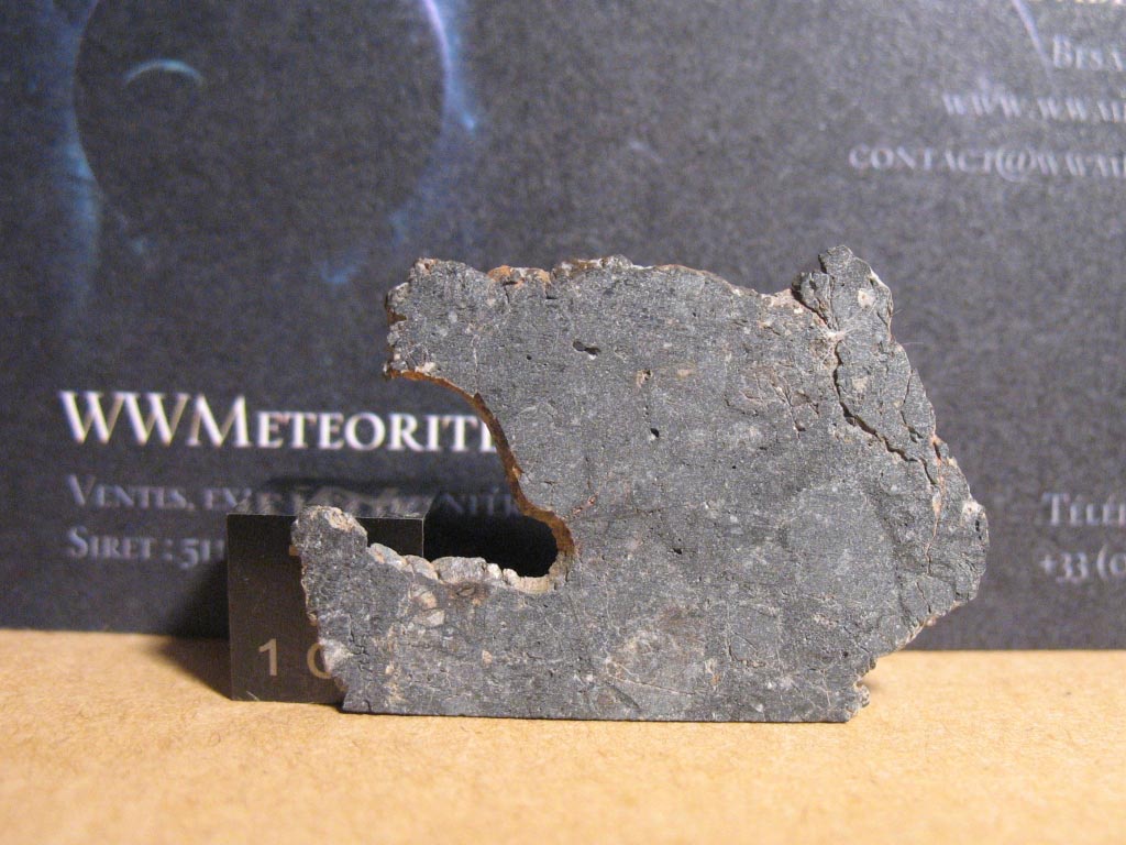 E1.jpg