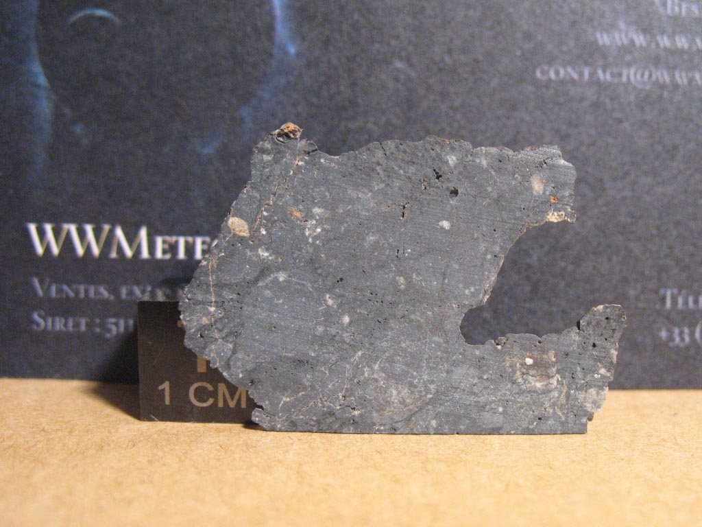 E2.jpg