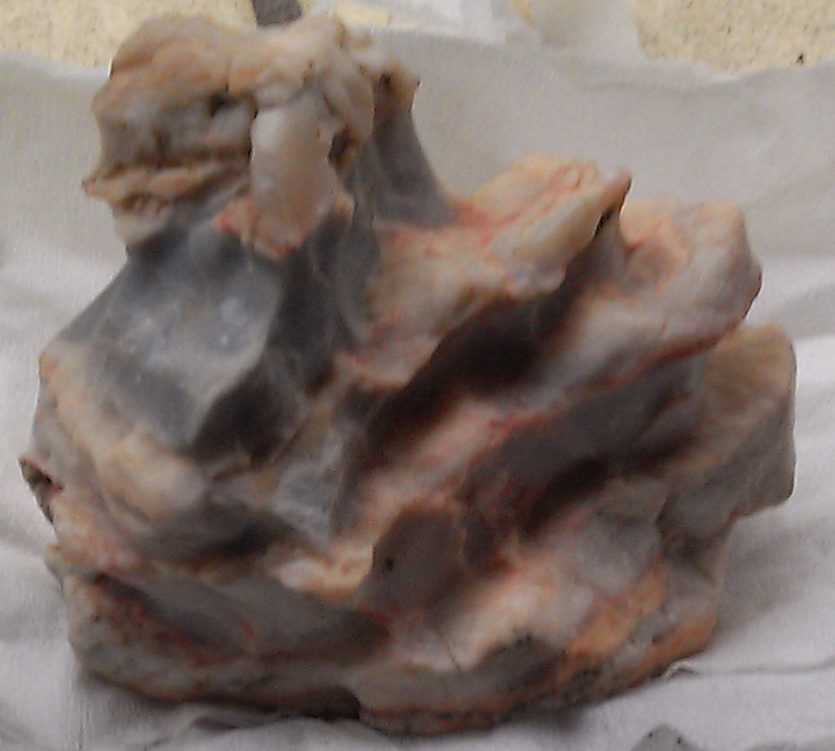 IMAG0007.jpg