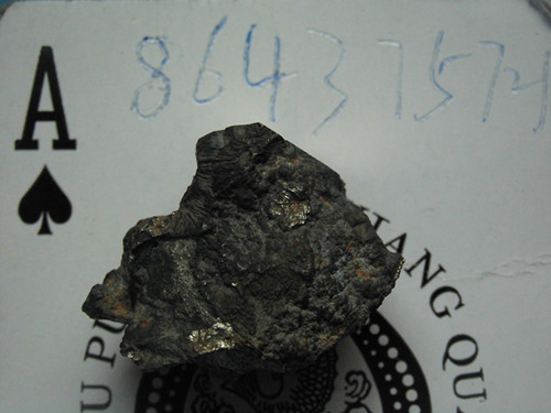 CIMG1203_副本.jpg