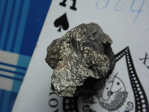CIMG1218_副本.jpg