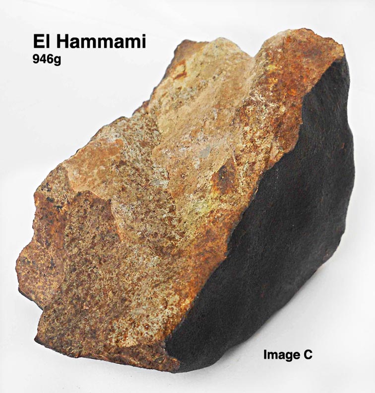 ElHammamiC.jpg