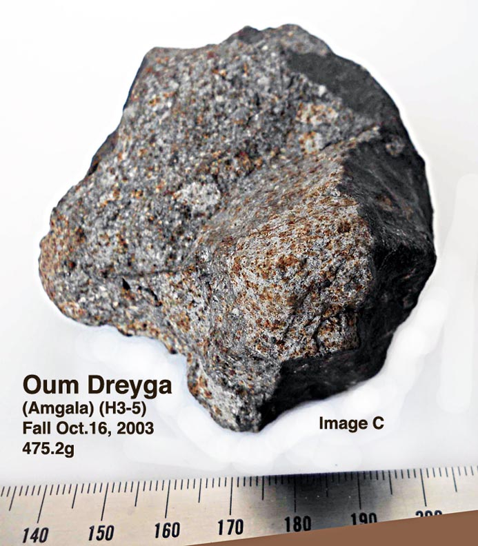 OumDreyga475_2C.jpg