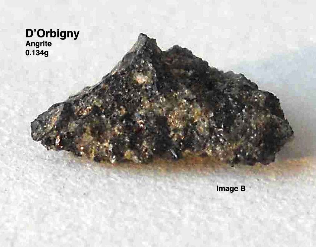 D'Orbigny0.134gB.jpg