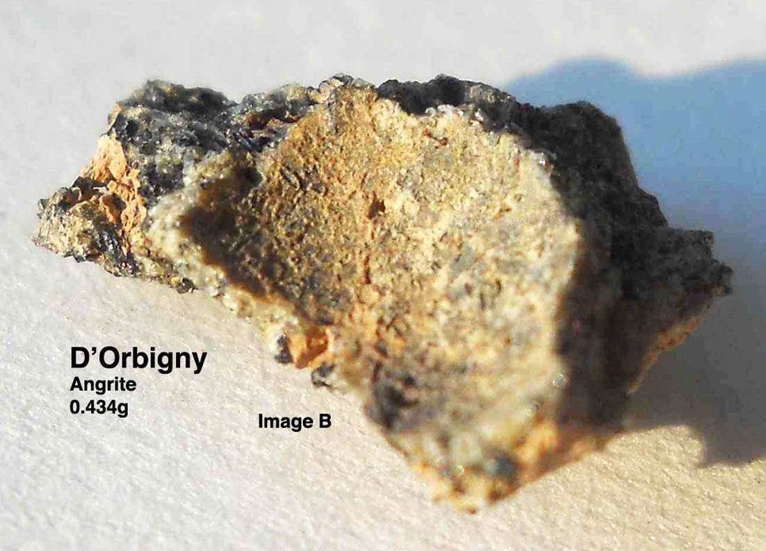 D'Orbigny0.434gB.jpg