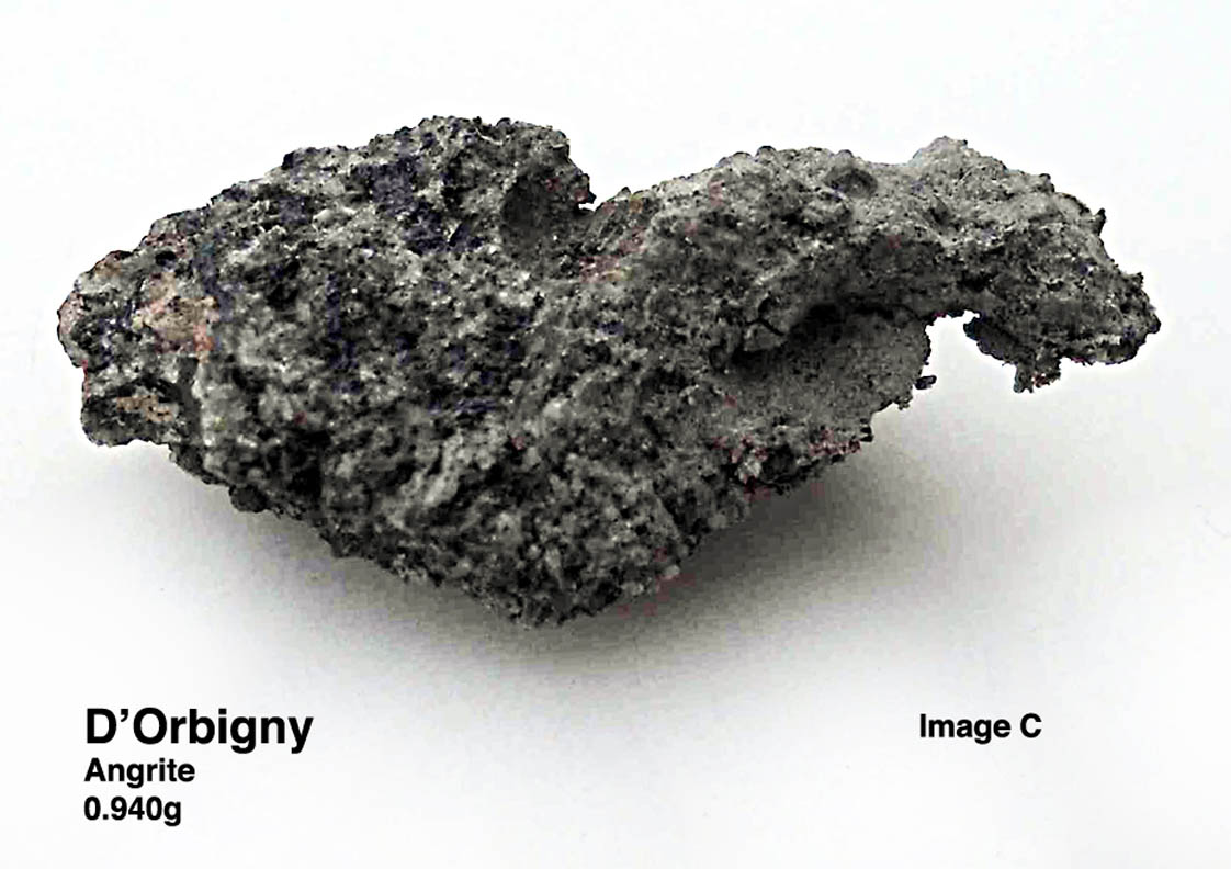 D'Orbigny0.940gC.jpg