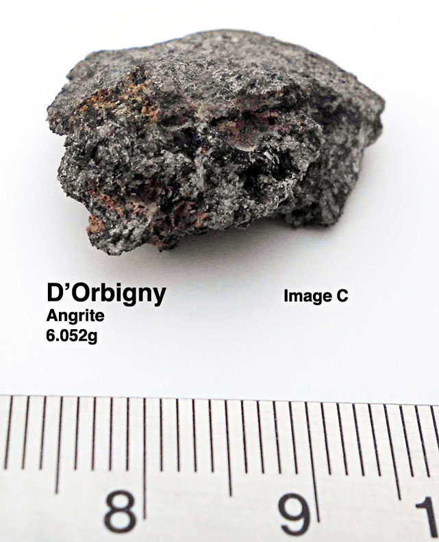 D'Orbigny6.052gC.jpg