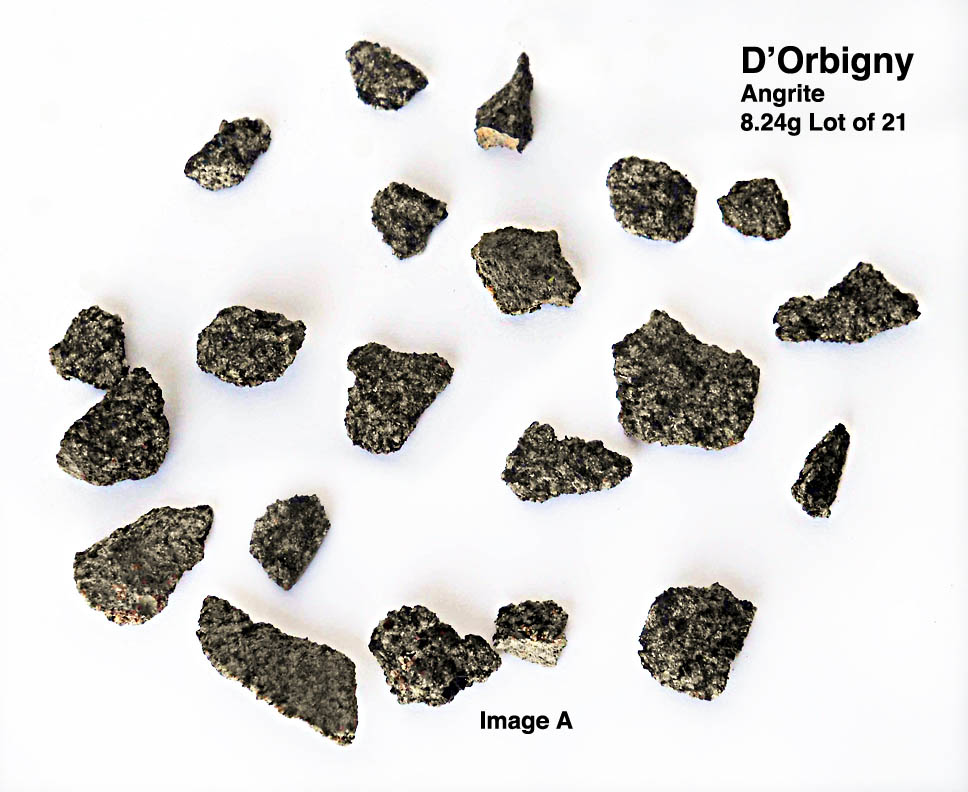 D'Orbigny8.248gA.jpg