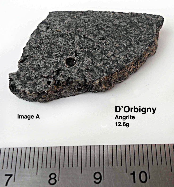 D'Orbigny12.6gA.jpg
