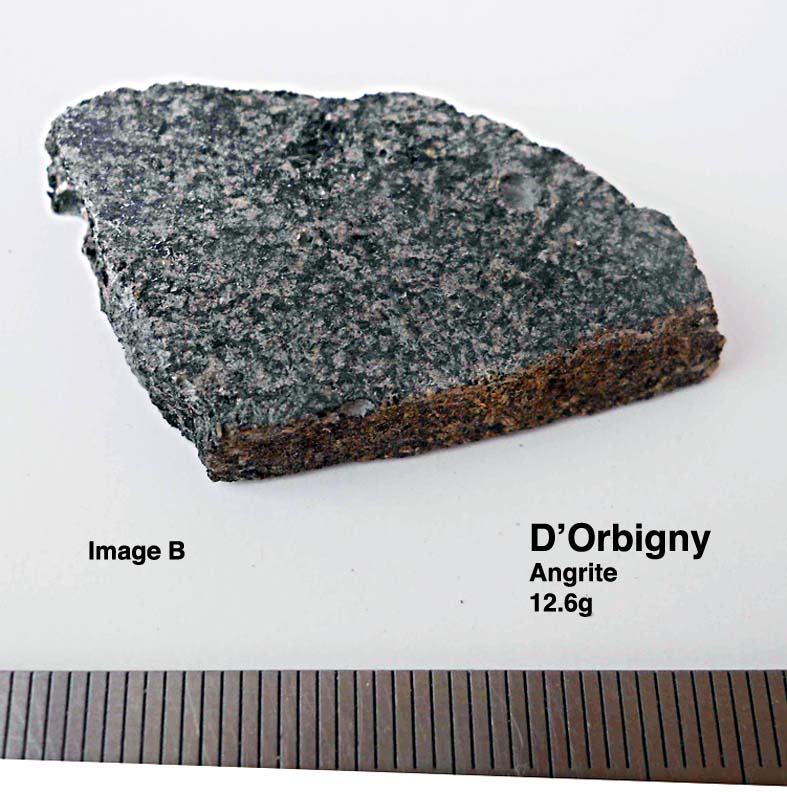 D'Orbigny12.6gB.jpg