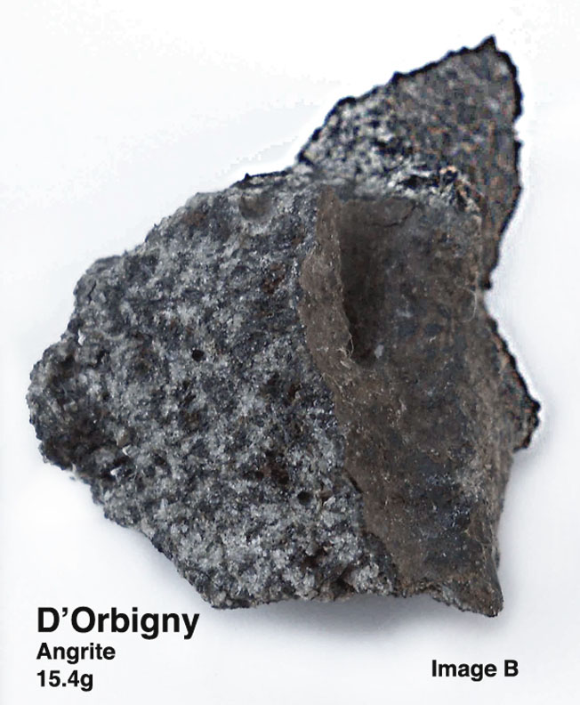 D'Orbigny15.4gB.jpg