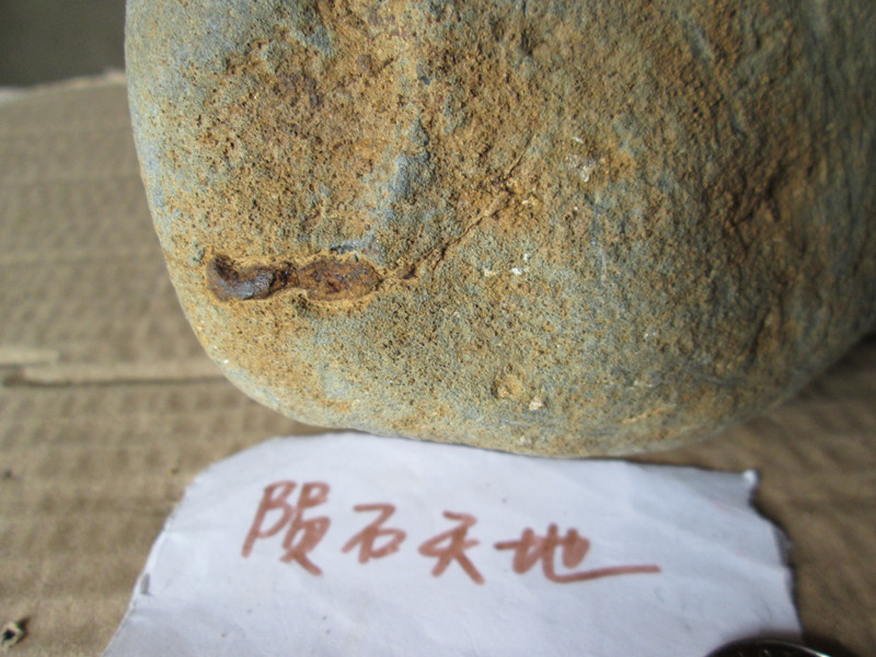 IMG_1193_副本.jpg
