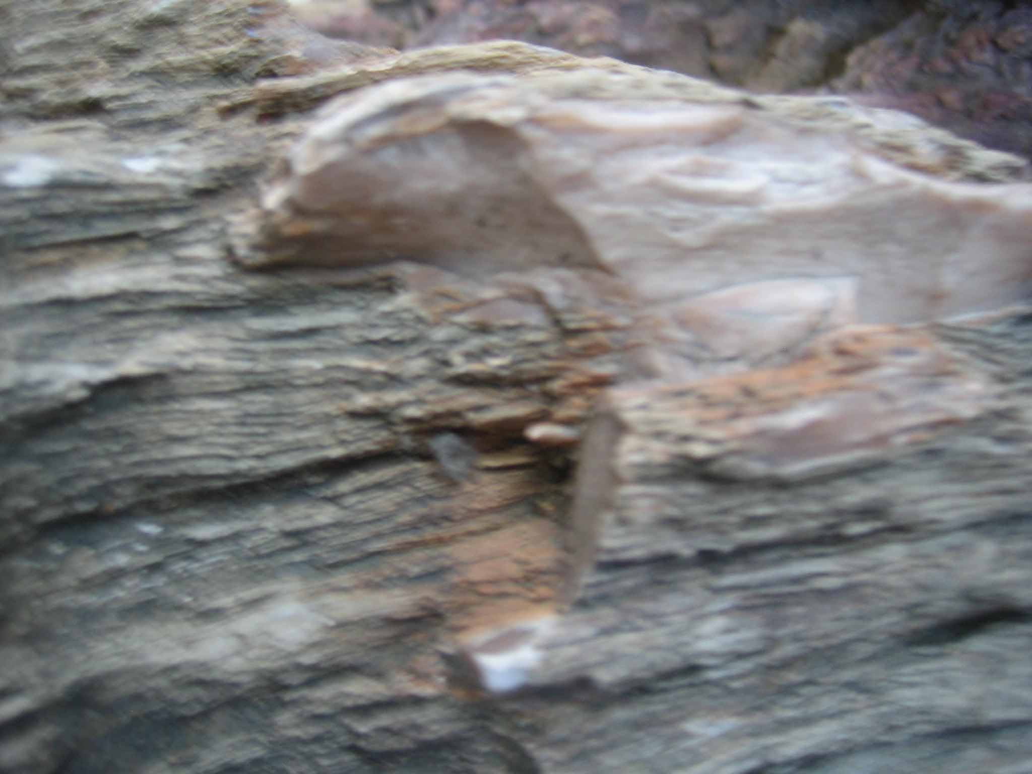103.jpg