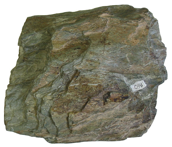 Chlorite_schist.jpg