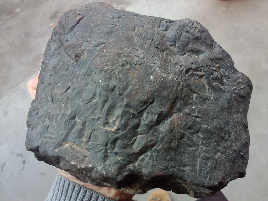 P40204-092226.jpg