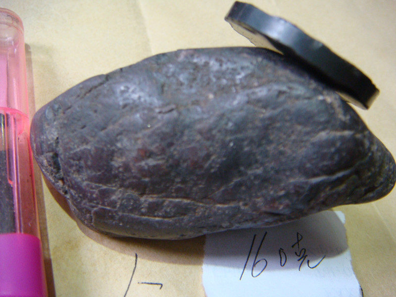 DSC08101_副本.jpg