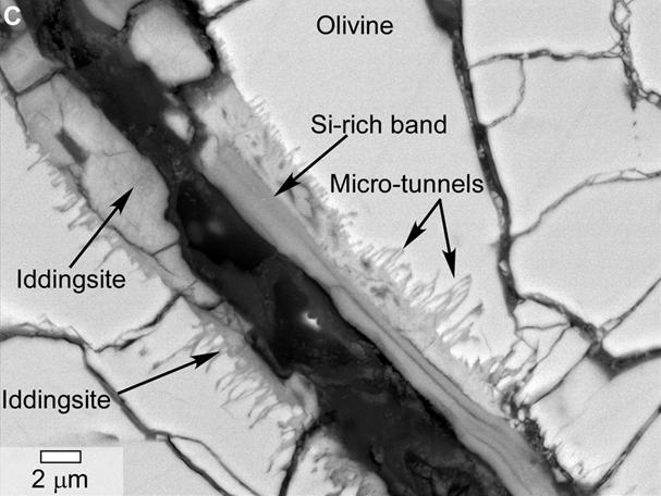 PIA17953-MarsMeteoriteOnEarth-Yamato000593-Microtunnels-20140227.jpg