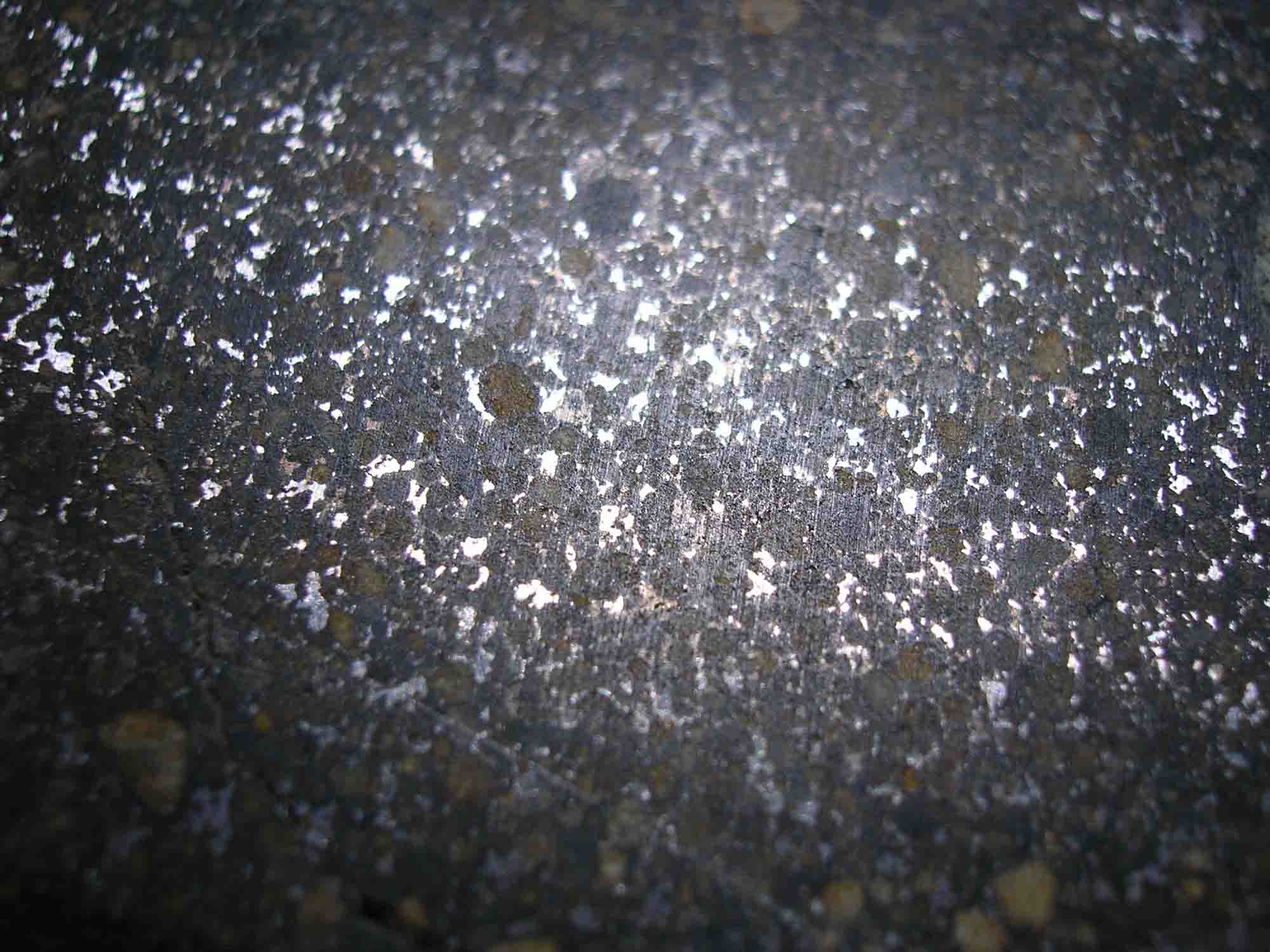DSCN5563.jpg