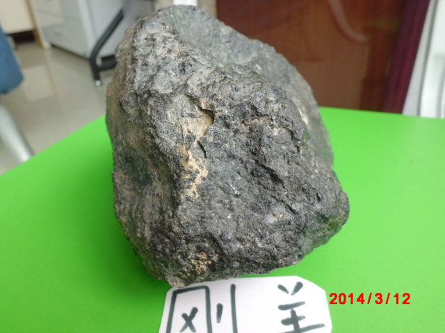 CIMG4431.JPG