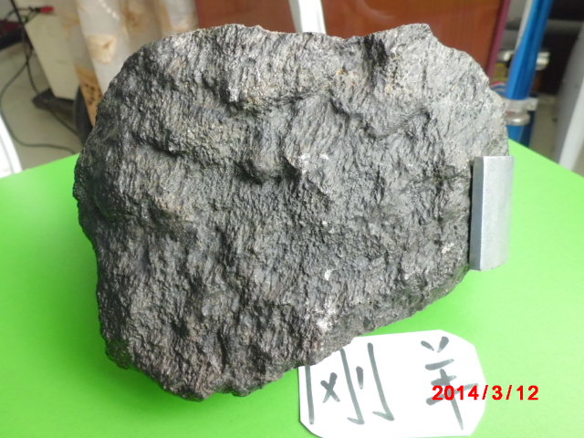 CIMG4447.JPG