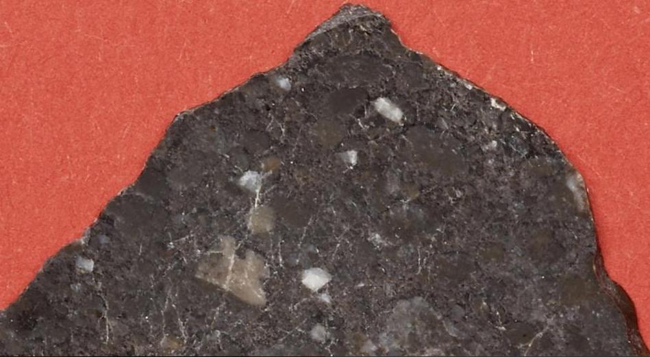 Recently Discovered Lunar Meteorite 1.jpg
