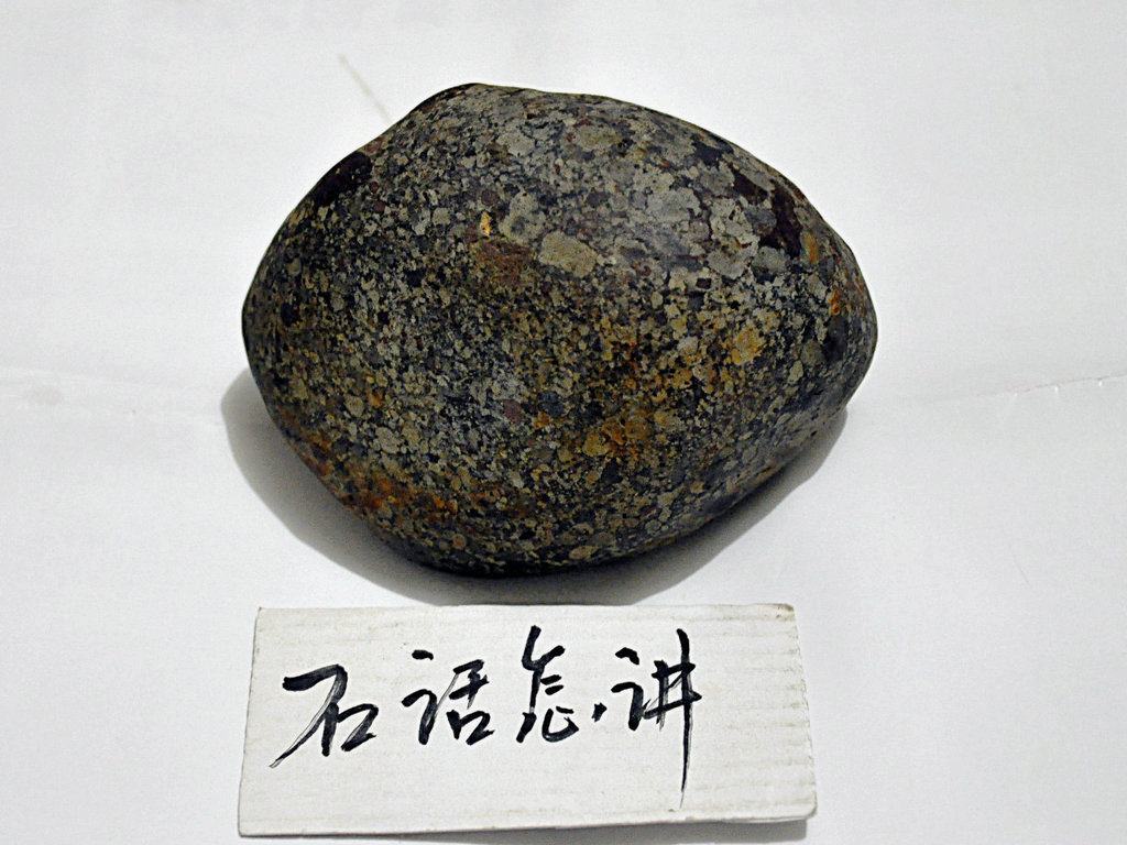 照片 055.jpg