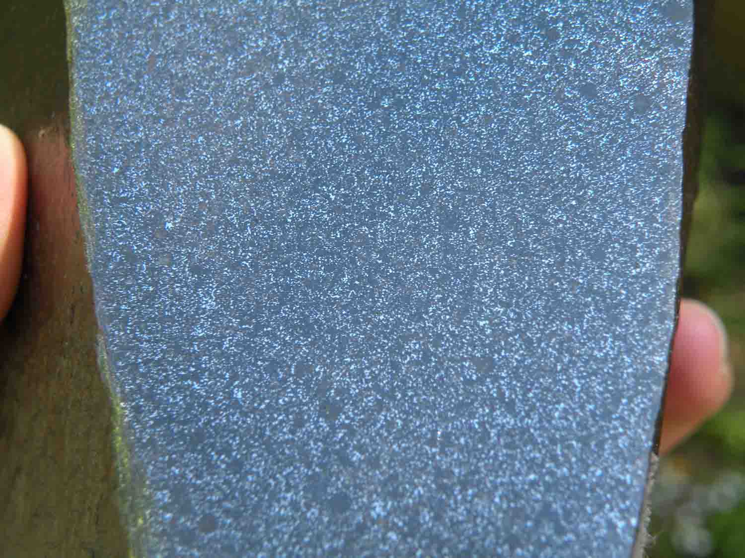 DSCN4040.jpg