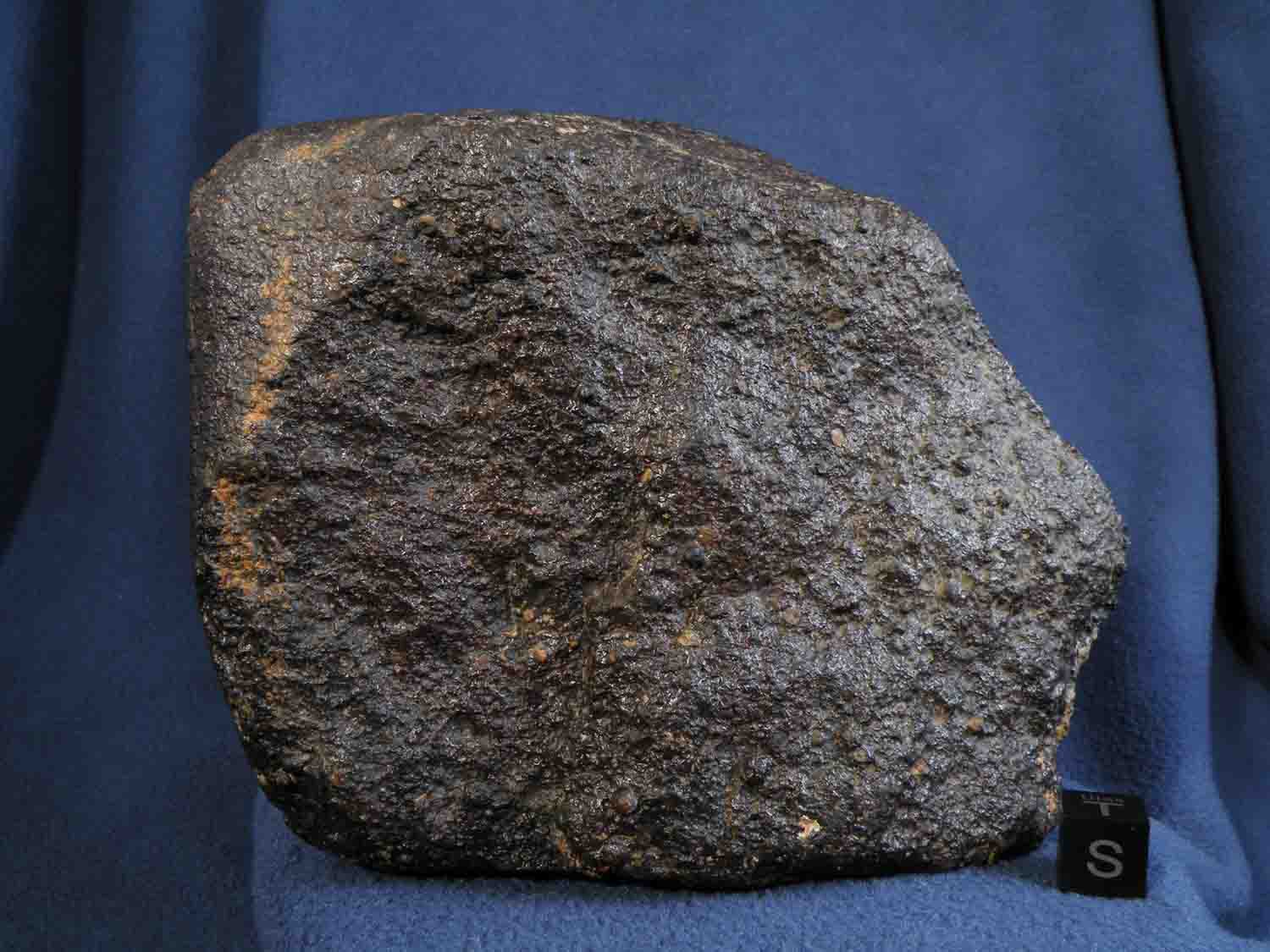 DSCN5167.jpg