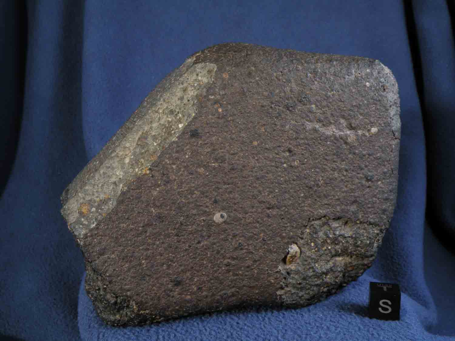 DSCN5168.jpg