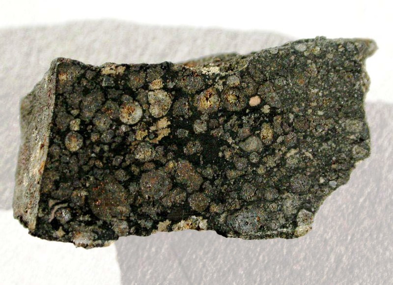 Vigarano-CV.jpg