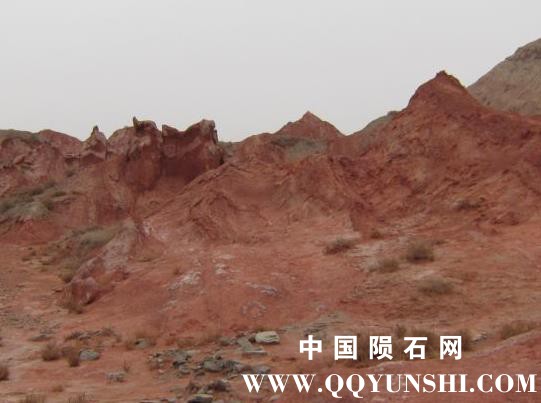 发现地点