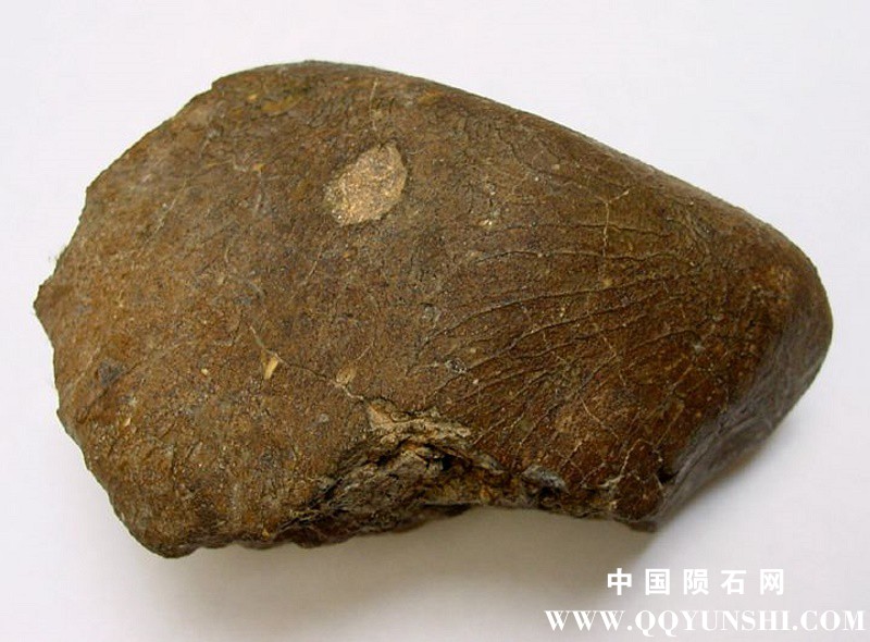NWA2998a.jpg