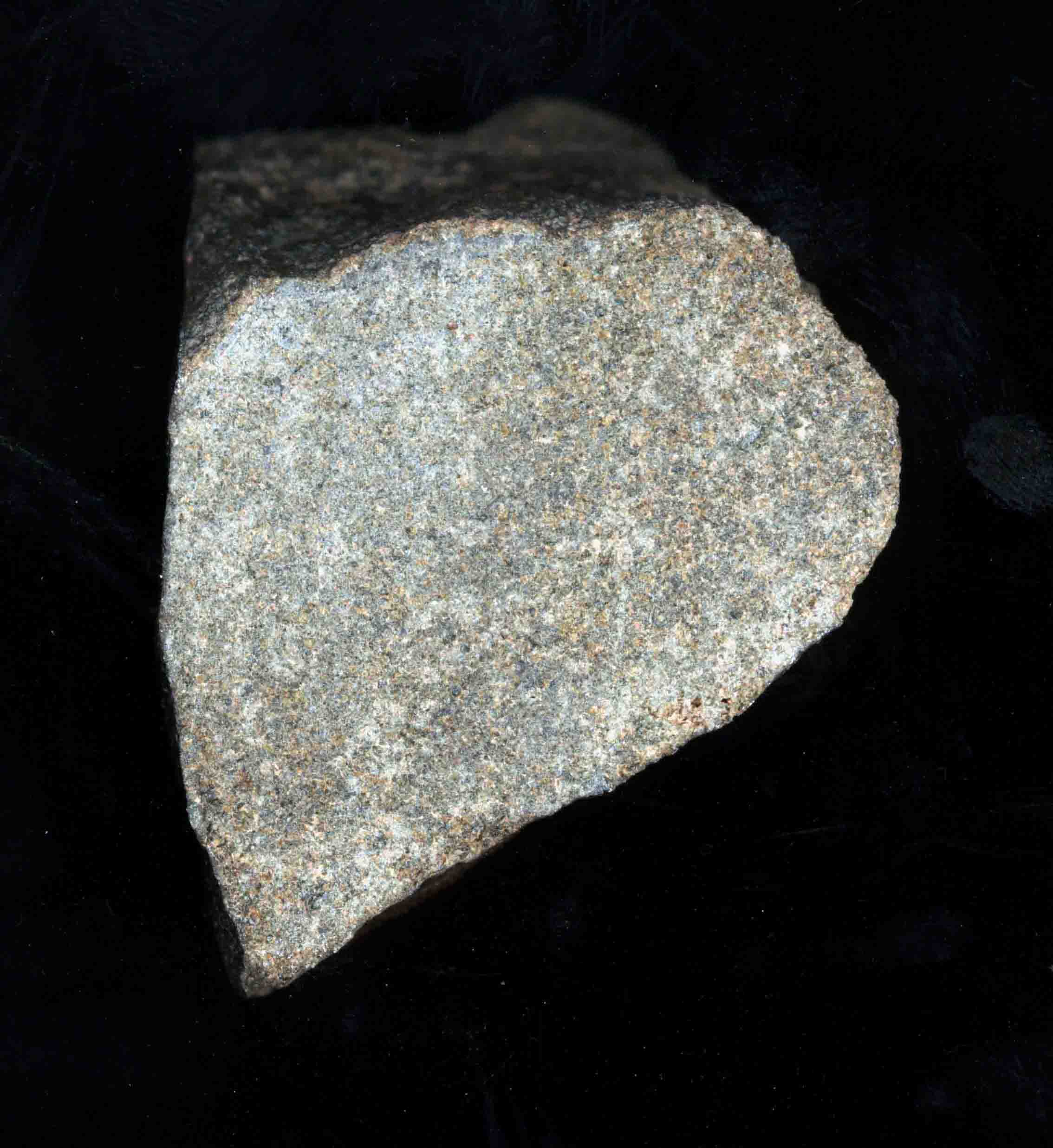 nwa998.jpg