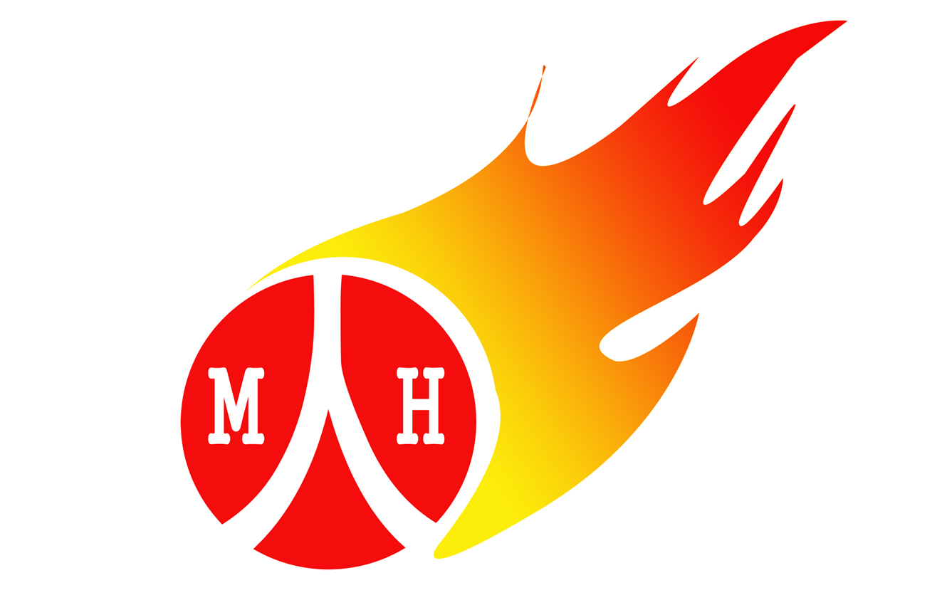 陨石标 副本.jpg