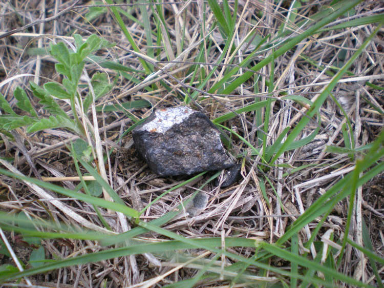 DSCN1803.jpg