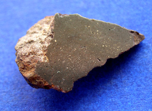 sau2902.jpg